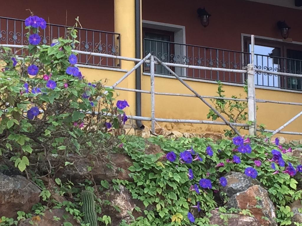 La Casa Sarda Hotel Fluminimaggiore Luaran gambar